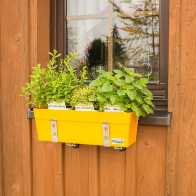 Kruterbox-Halter Vario-Fix GREENBAR vor der Fensterbank