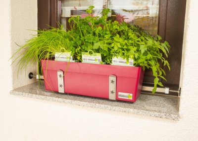 Kombiangebot Blumenkastenhalter Greenbar AdF mit Kruterbox fr FLB 65...89cm